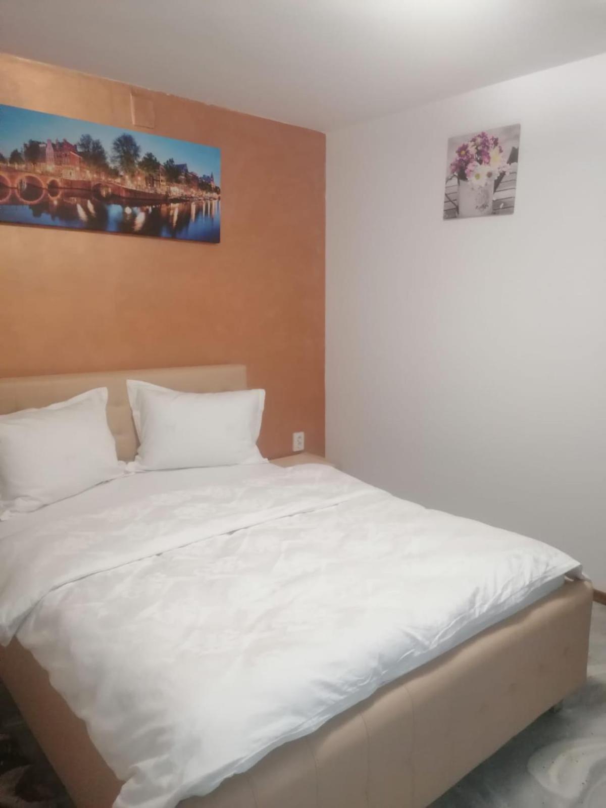 Casa Muresan Cluj-Napoca Eksteriør bilde
